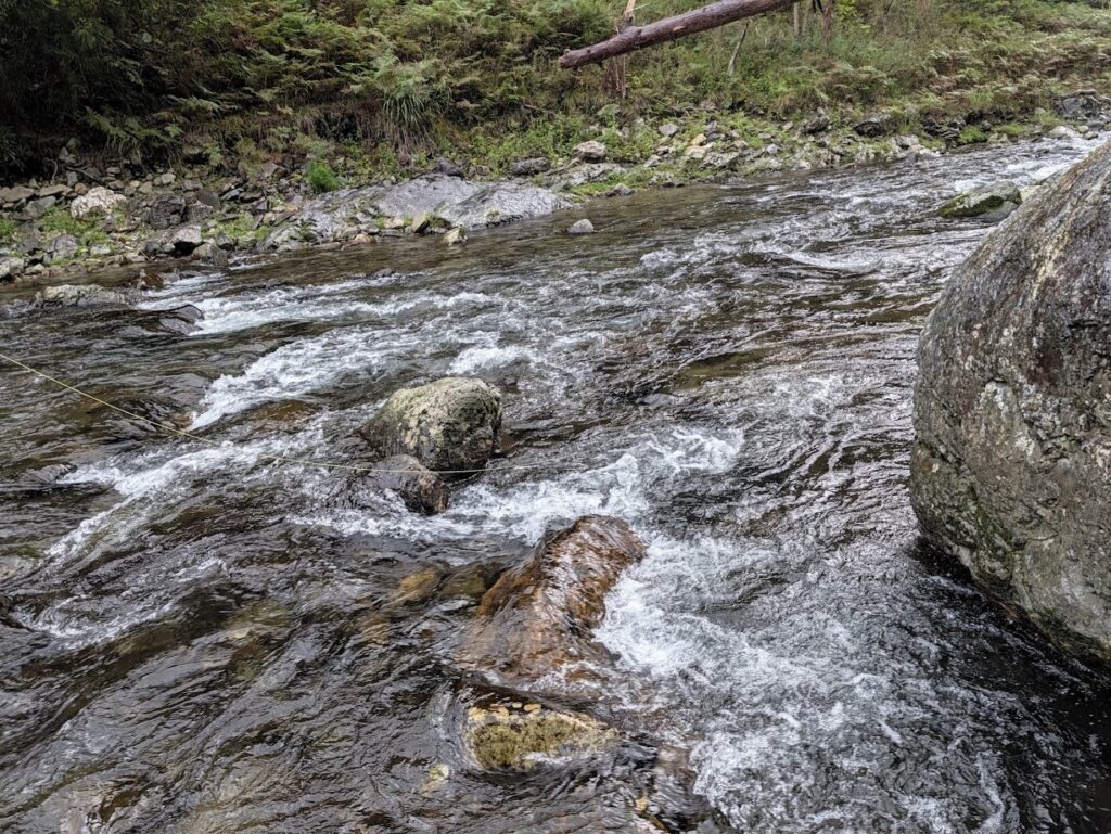 渓流釣り