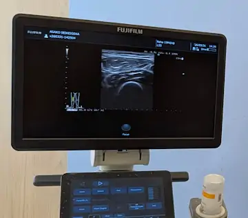 理学療法士も頑張っています