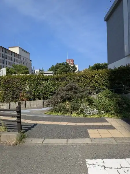 第3回北摂リウマチネットワークに参加してきました
